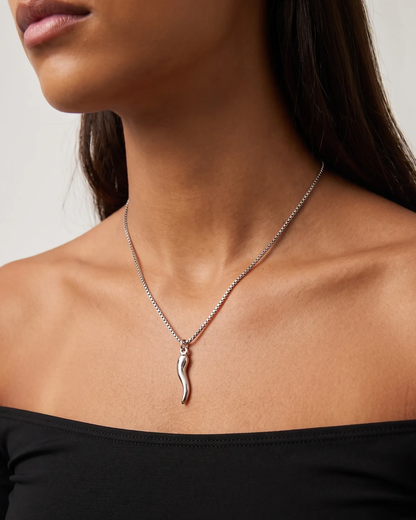 Horn Charm Necklace