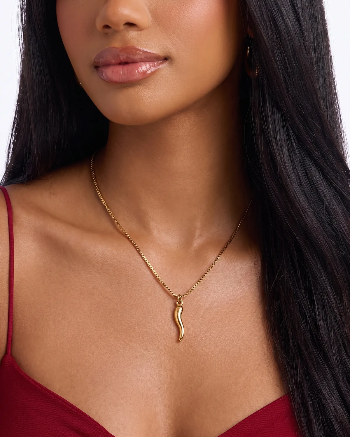Horn Charm Necklace