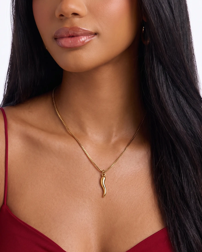 Horn Charm Necklace